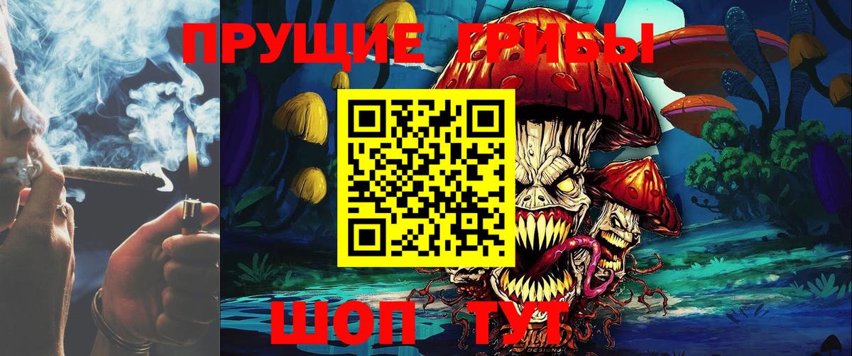 Галлюциногенные грибы Magic Shrooms  Вход с VPN  Псилоцибиновые грибы Psilocybe  Евпатория 