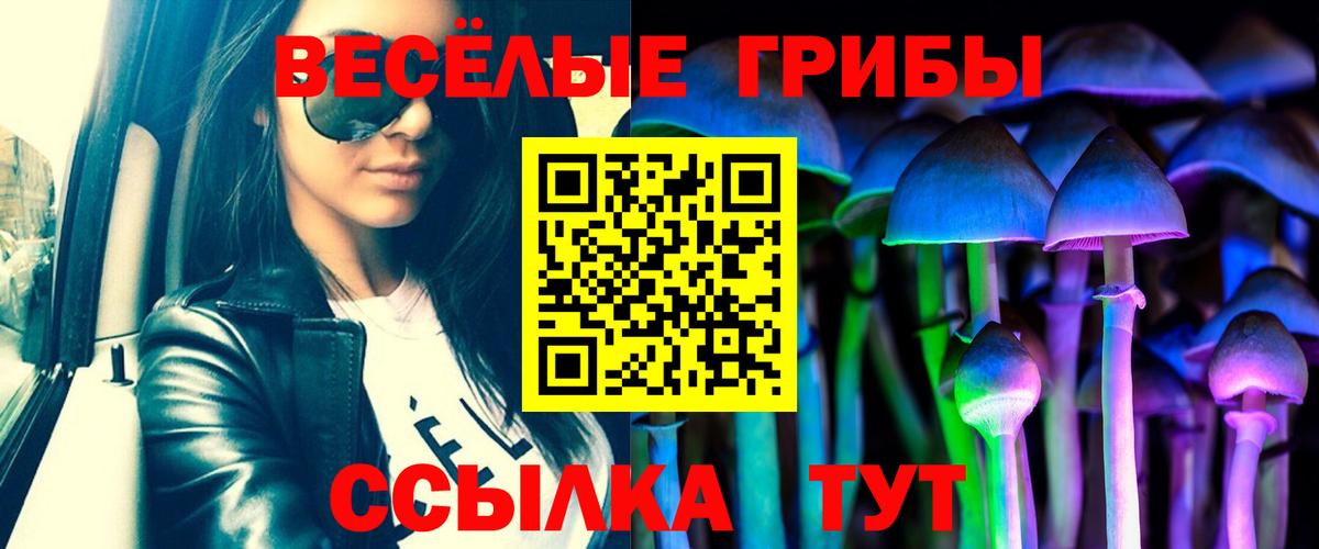 Псилоцибиновые грибы Psilocybe Евпатория